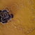 catena rose fimo