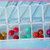 1 CONTENITORE in plastica PVC BOX CON 7 SCOMPARTI VUOTO