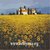 Schema punto croce Paesaggio con girasoli