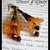 FLOWERS COLLECTION-"BRONZE NUTS" LUCITE TRUMPET FLOWER EARRINGS-ORECCHINI VINTAGE CON FIORE IN LUCITE 