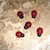 COCCINELLE IN LEGNO