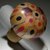 colored mushroom