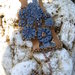bracciale + orecchini avio in stoffa