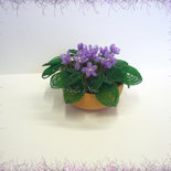 Vasetto di violette africane
