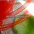 1 mt RETE CALZA TUBOLARE IN NYLON PLASTICA 4mm ROSSO
