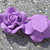 2 rose viola in fimo