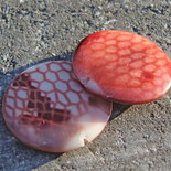 1 perla a pastiglia in madreperla effetto pelle di serpente ambra arancione bianco nero