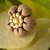 Anello thun fiore champagne