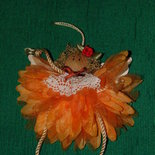 angioletto arancione