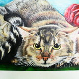 Gatto sornione Gatto sornione