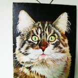 Gattone