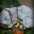 Collana Fatina Zucca