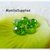 10 PZ PERLE RONDELLE BRIOLETTE CRISTALLO 8X6mm VERDE AB 