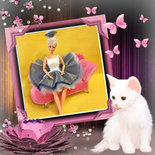 per Barbie: vestito da ballerina