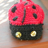 COCCINELLA COCCINELLA