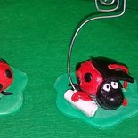 Bomboniera coccinella Laurea