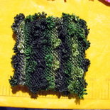Scaldacollo Scaldacollo