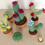 AMIGURUMI a uncinetto - Piante grasse