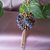 Sfera "Capricho" con Swarovski 
