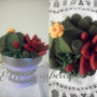 Vaso con piante grasse