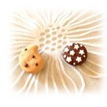 Calamite golose (biscotti gocciole e pan di stelle) fimo