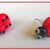 Orecchini coccinelle!!