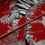 Bacchetta "Wild Rover Collection" n°5