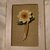 Quadretto shabby