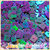 Paillettes quadrate viola