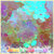 Paillettes fiori grandi