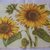 Tovaglioli per Decoupage