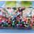 100 GR HAMA BEADS BEAD ,PYSSLA BEADS, MULTICOLOR,PERLINE A FUSIONE