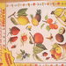 raccolta carte per decoupage