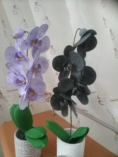 ORCHIDEA. UN STUPENDO FIORE REALISTICO. ORCHIDEA. UN STUPENDO FIORE REALISTICO.