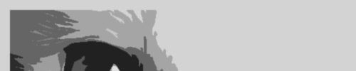 Store_banner_1003_normal