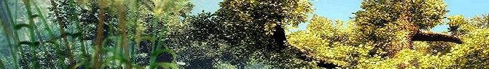 Store_banner_156_normal