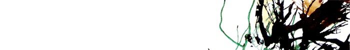Store_banner_4994_normal