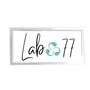 lab77