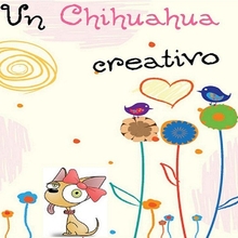 chihuahua creativo