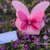 Scatola porta confetti a forma di farfalla by Romanticards 