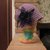 Cappello cloche lilla e viola con spilla fiore nero