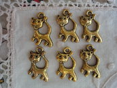 6 Gattini in Metallo color oro 22x14 mm.