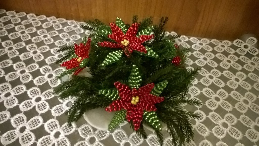 Immagini Di Natale Stelle.Fiore In Ceramica Con Cinque Stelle Di Natale Rosse Per La Casa E Su Misshobby