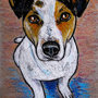 Ritratto Jack Russell terrier pastelli a olio su cartoncino disegnato a mano