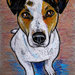 Ritratto Jack Russell terrier pastelli a olio su cartoncino disegnato a mano
