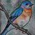 Ritratto uccellino eastern bluebird (Sialia sialis) disegnato a mano a pastelli