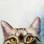 Rymond (ritratto di un bel soriano) cat portrait