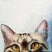 Rymond (ritratto di un bel soriano) cat portrait