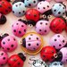 Coccinelle Fimo Charms
