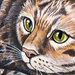 GATTO POMELLATO - pietra dipinta - opera d'arte - collezionismo - animali - felini